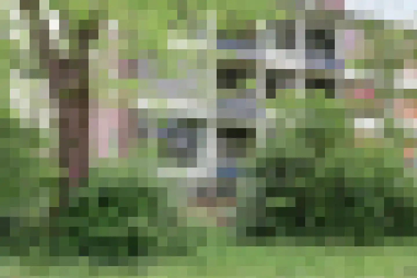 Vogelplantsoen 2 Dieren thumbnail 35