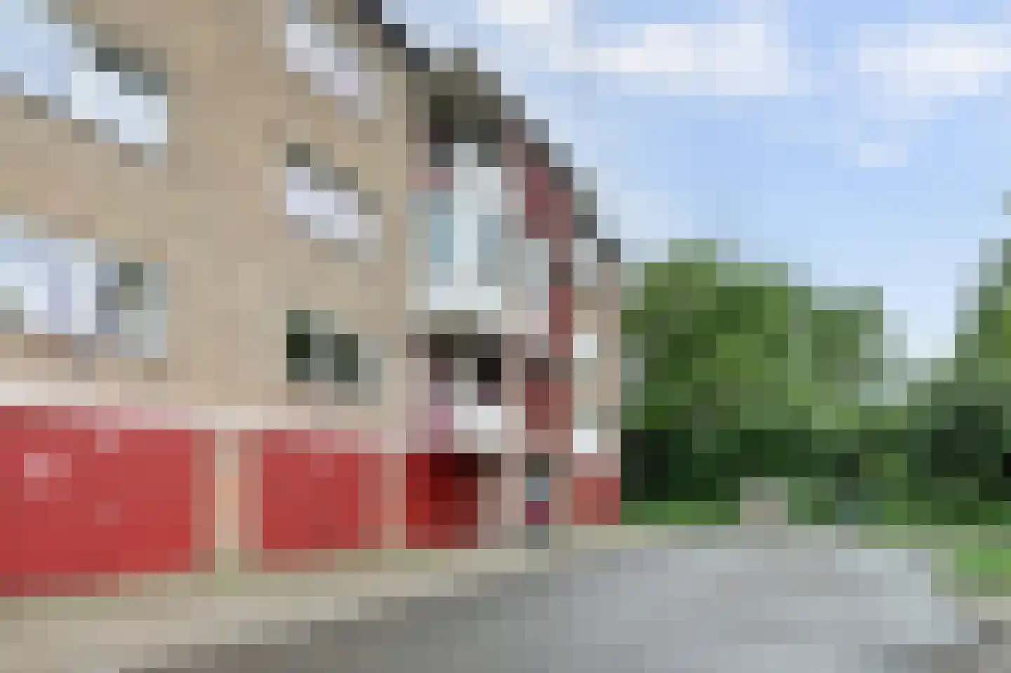 Vogelplantsoen 2 Dieren thumbnail 4