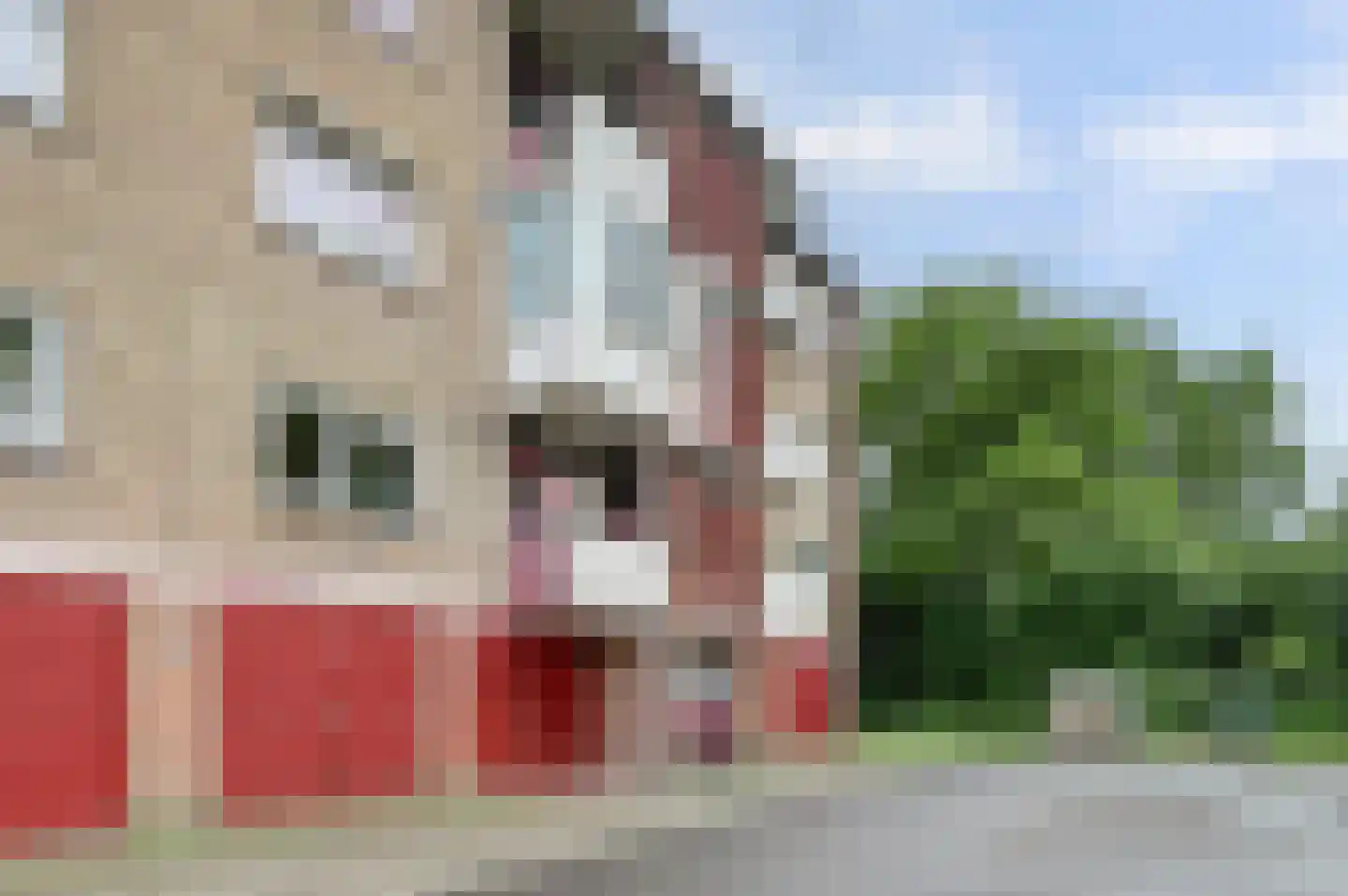 Vogelplantsoen 2 Dieren thumbnail 5
