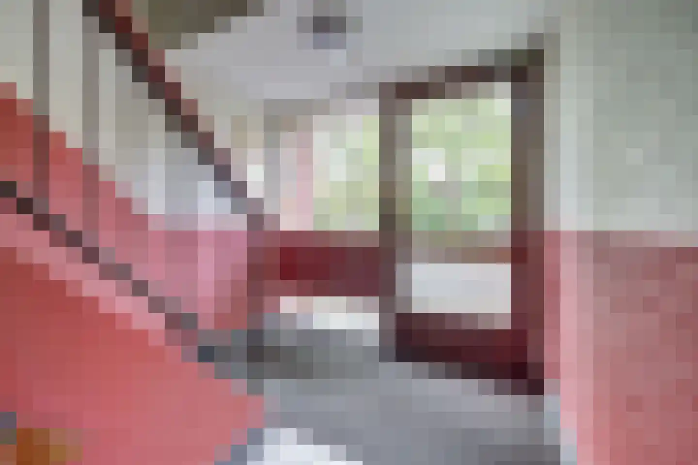 Vogelplantsoen 2 Dieren thumbnail 8