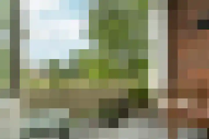 Vogelplantsoen 22 Dieren thumbnail 12