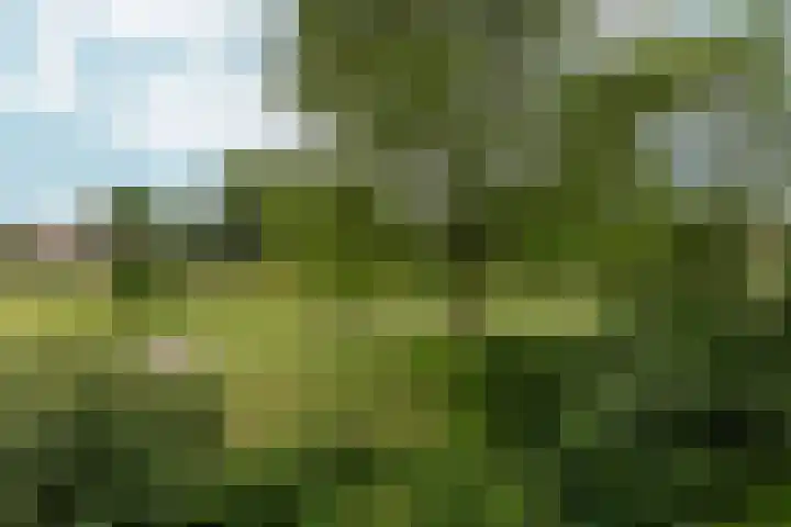 Vogelplantsoen 22 Dieren thumbnail 13