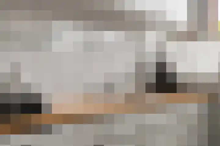 Vogelplantsoen 22 Dieren thumbnail 16