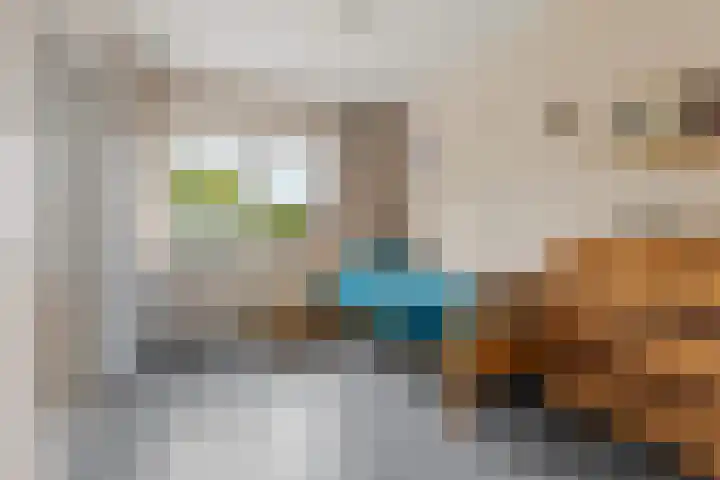 Vogelplantsoen 22 Dieren thumbnail 18