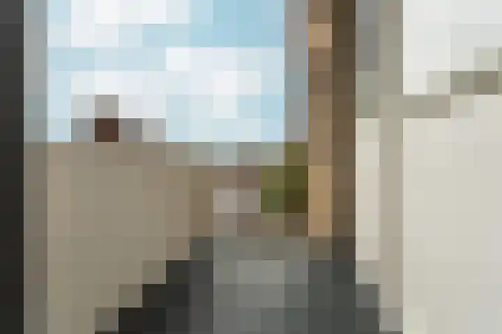 Vogelplantsoen 22 Dieren thumbnail 27