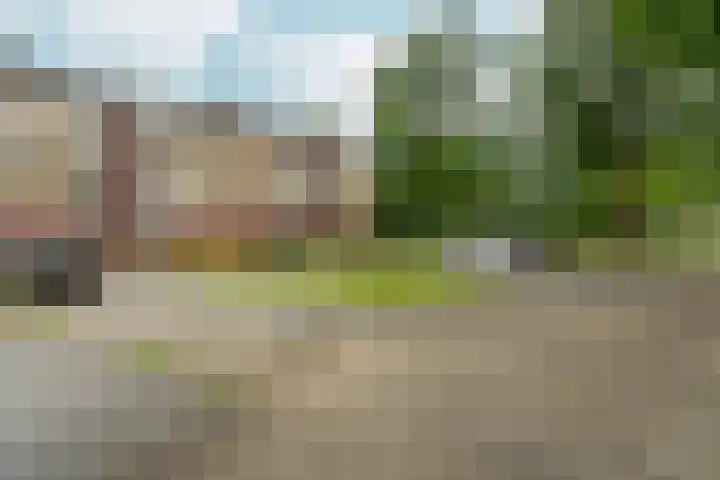 Vogelplantsoen 22 Dieren thumbnail 28
