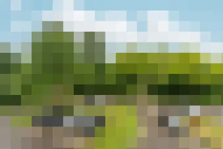 Vogelplantsoen 22 Dieren thumbnail 30