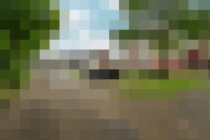 Vogelplantsoen 22 Dieren thumbnail 31