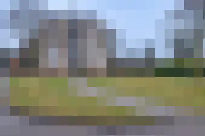 Vogelplantsoen 224 Dieren