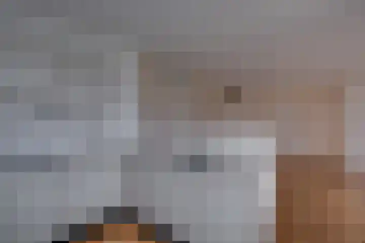 Vogelplantsoen 224 Dieren thumbnail 12