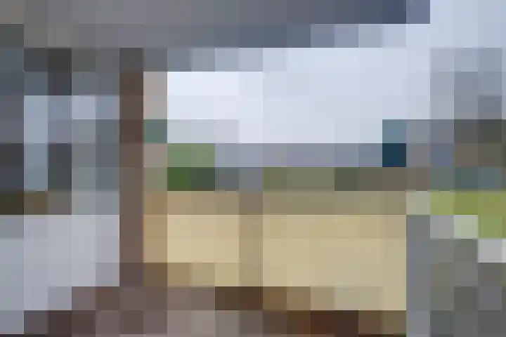 Vogelplantsoen 224 Dieren thumbnail 15