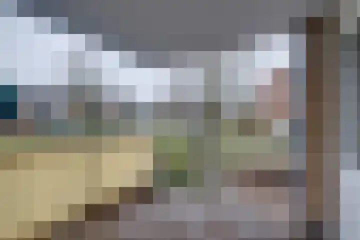 Vogelplantsoen 224 Dieren thumbnail 16