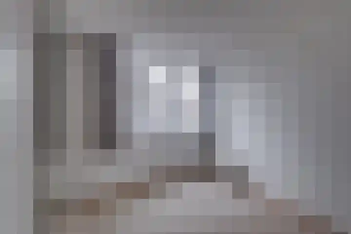 Vogelplantsoen 224 Dieren thumbnail 20