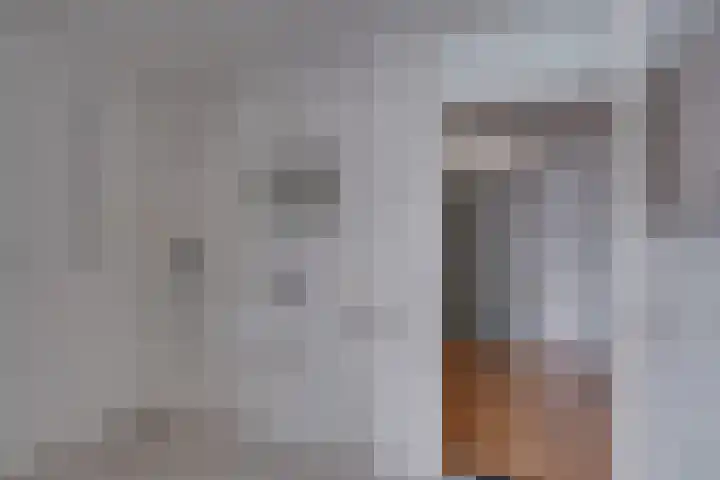 Vogelplantsoen 224 Dieren thumbnail 22