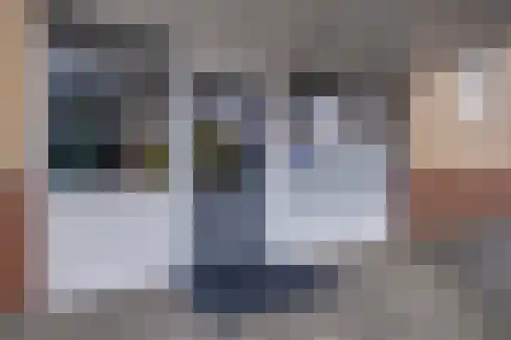 Vogelplantsoen 224 Dieren thumbnail 4