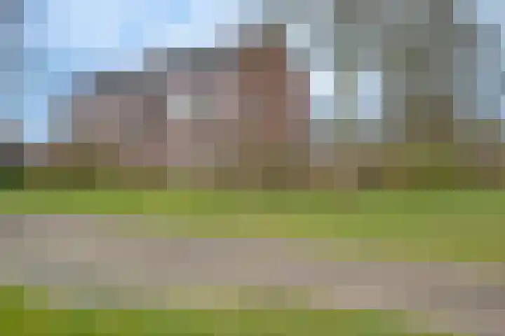 Vogelplantsoen 37 Dieren