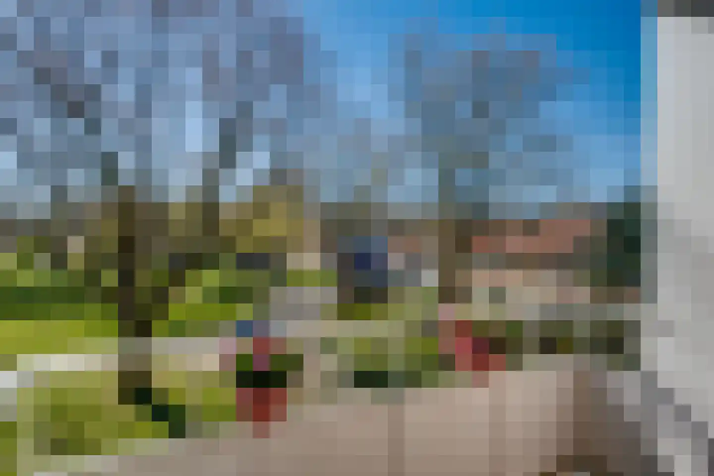 Vogelplantsoen 51 Dieren thumbnail 21