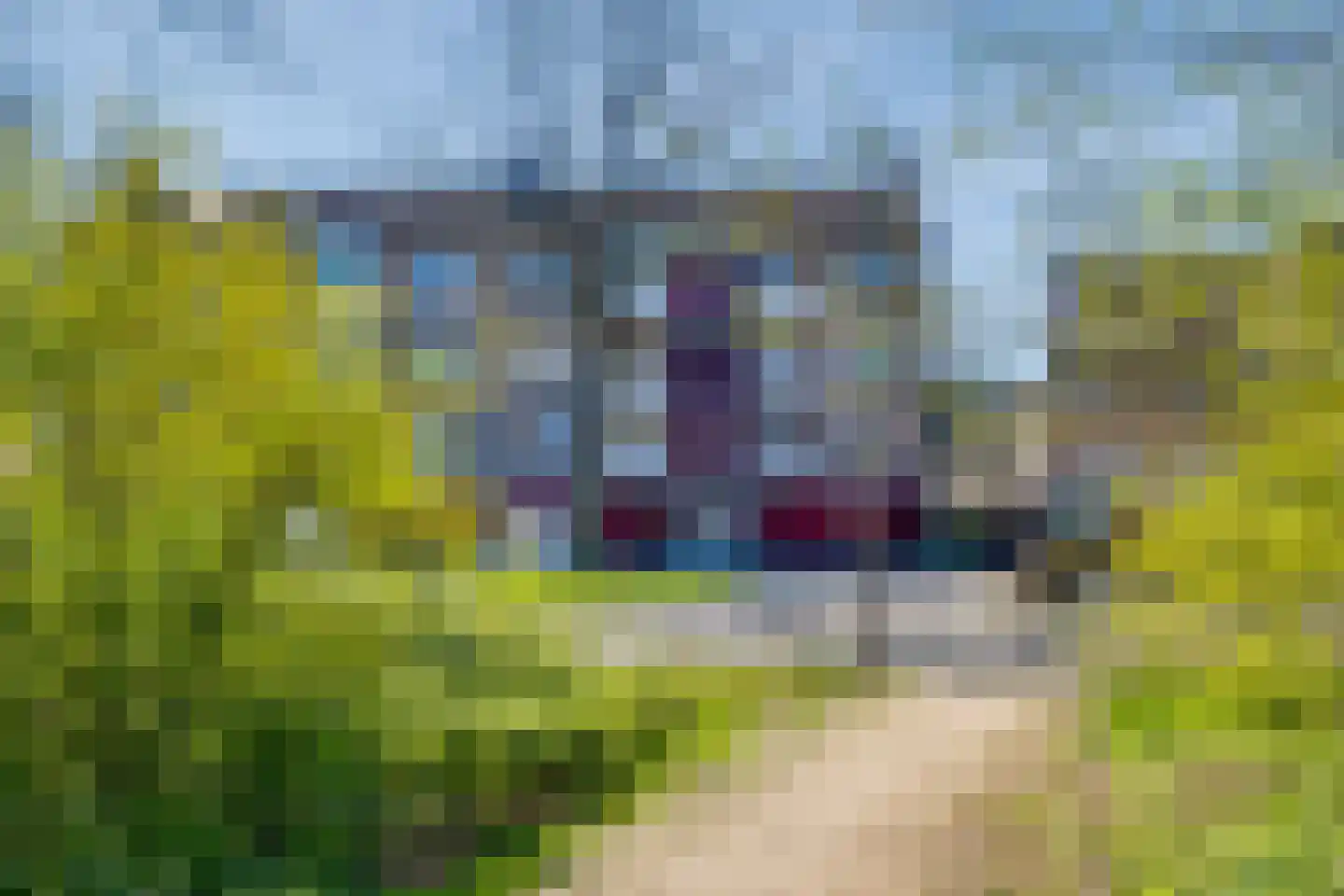 Vogelplantsoen 51 Dieren thumbnail 26