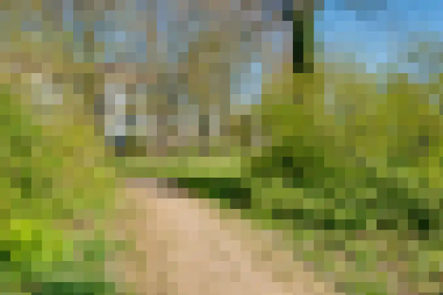 Vogelplantsoen 51 Dieren thumbnail 27