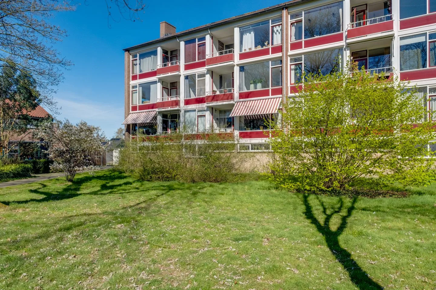 Vogelplantsoen 51 Dieren thumbnail 30