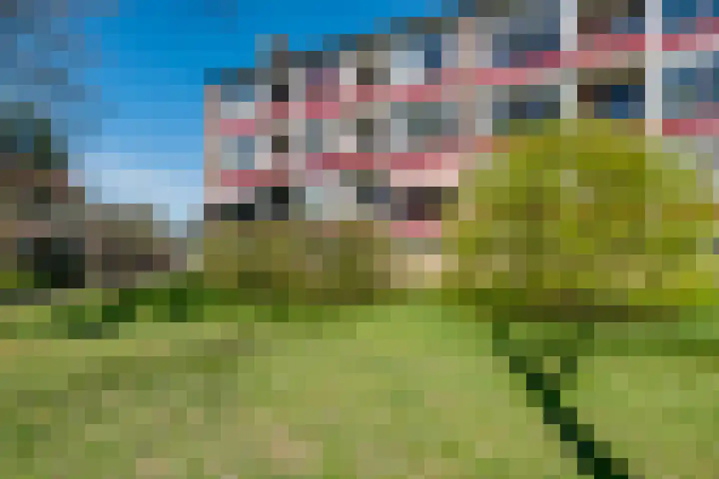 Vogelplantsoen 51 Dieren thumbnail 30