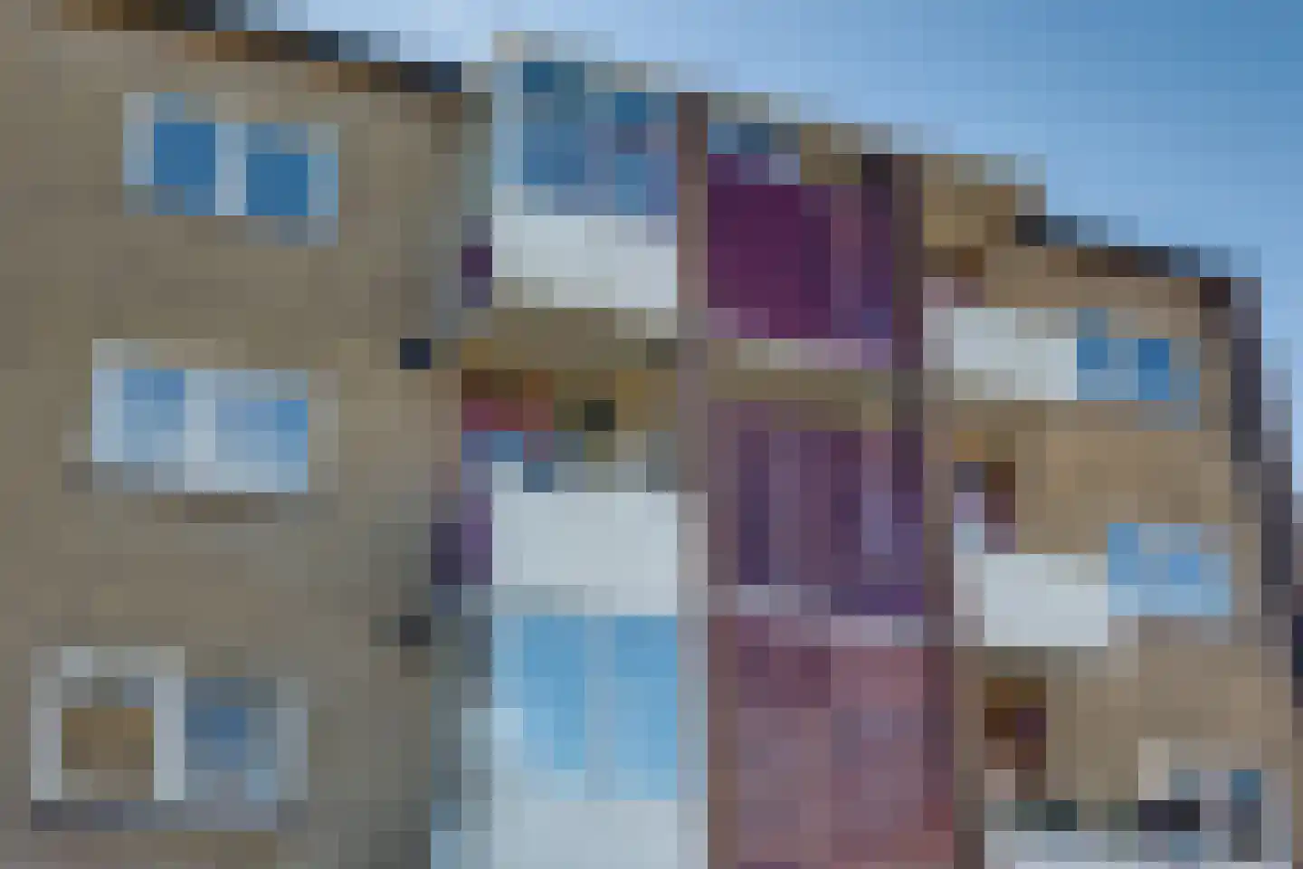 Vogelplantsoen 51 Dieren thumbnail 31