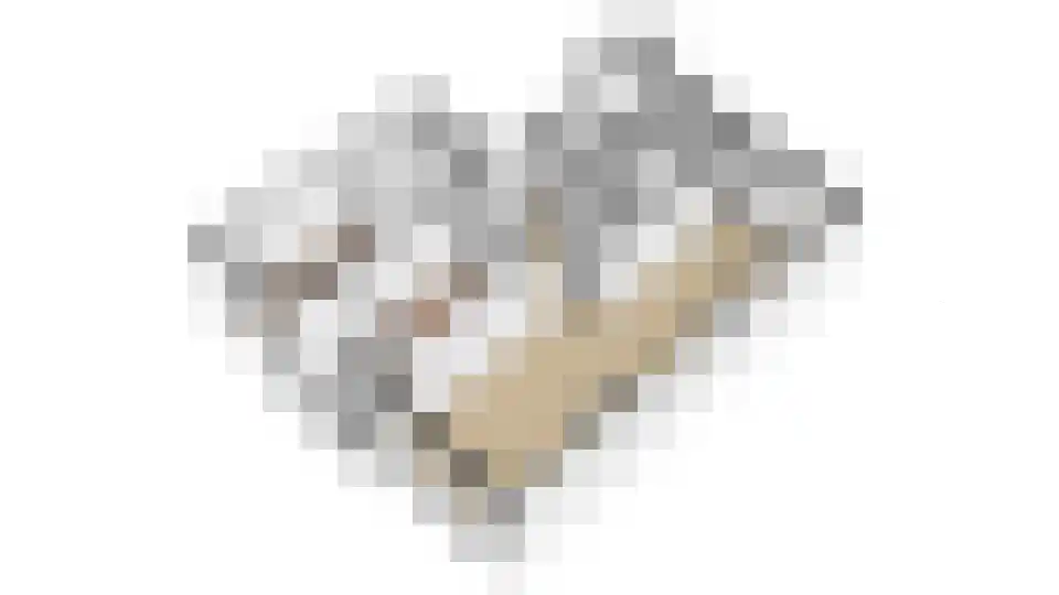 Vogelplantsoen 51 Dieren thumbnail 33