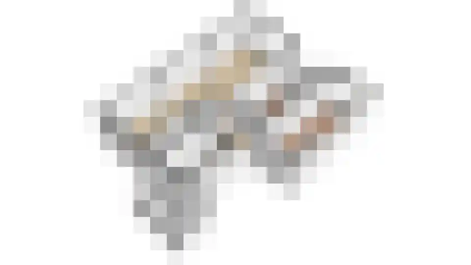 Vogelplantsoen 51 Dieren thumbnail 34