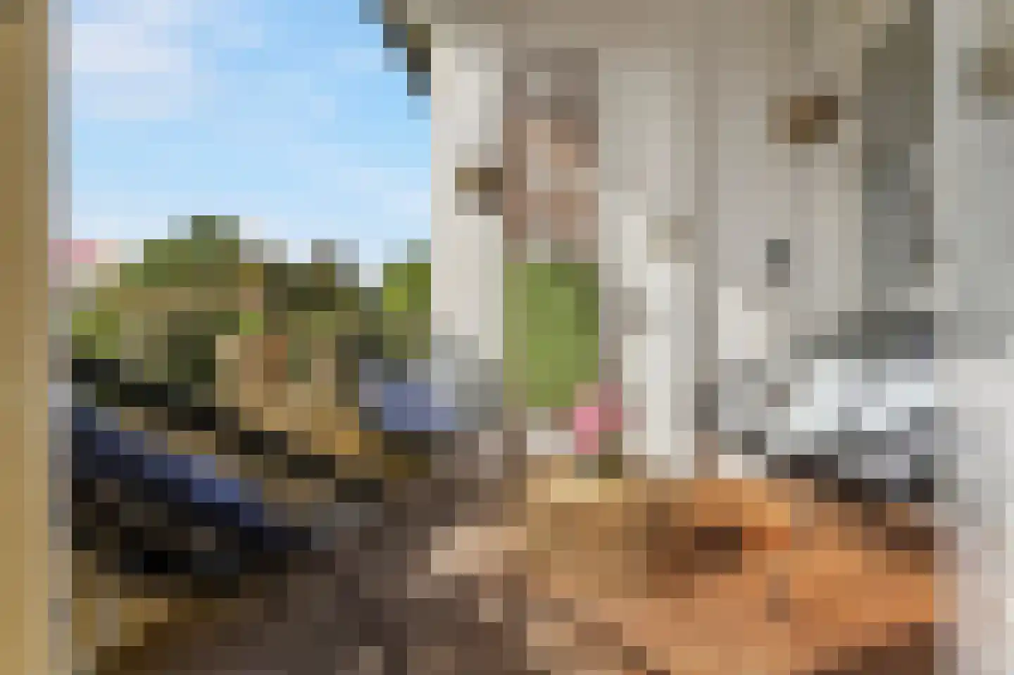 Vogelplantsoen 68 Dieren thumbnail 12
