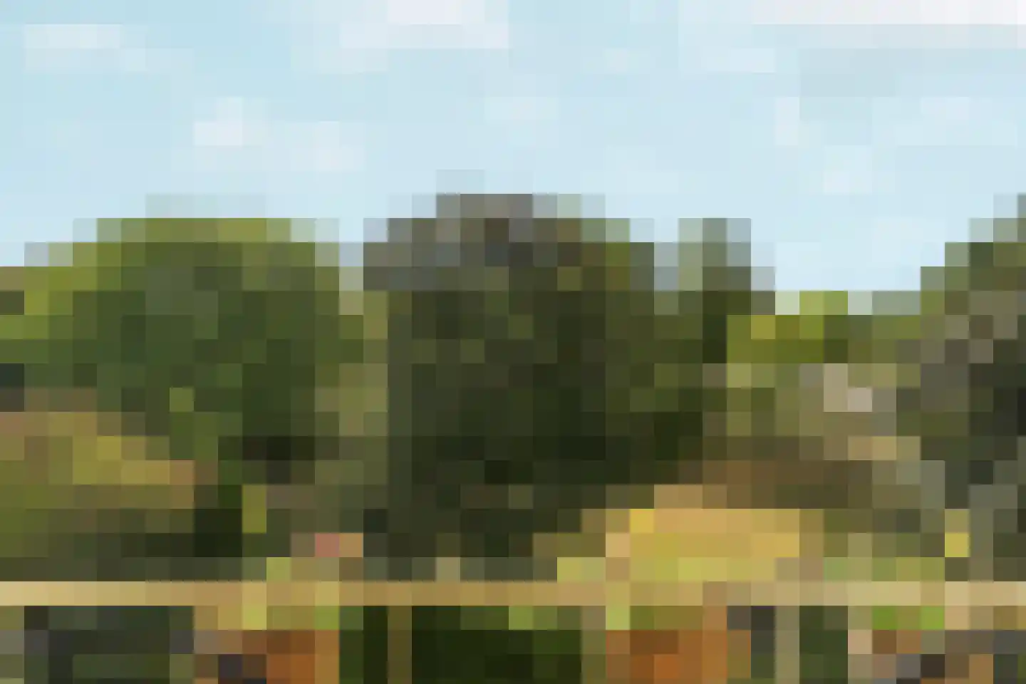 Vogelplantsoen 68 Dieren thumbnail 15