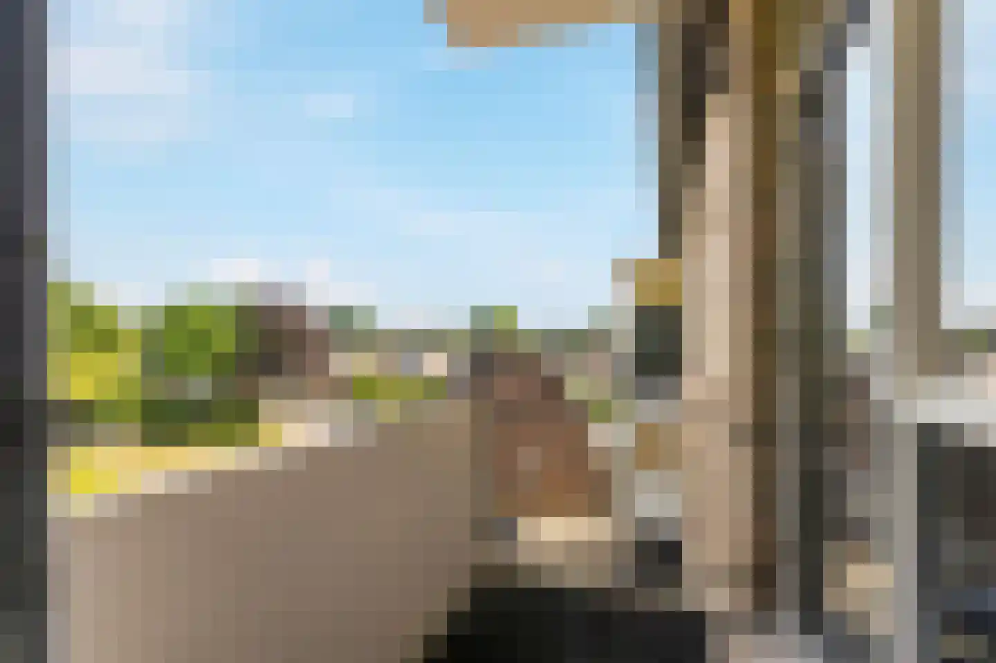 Vogelplantsoen 68 Dieren thumbnail 21