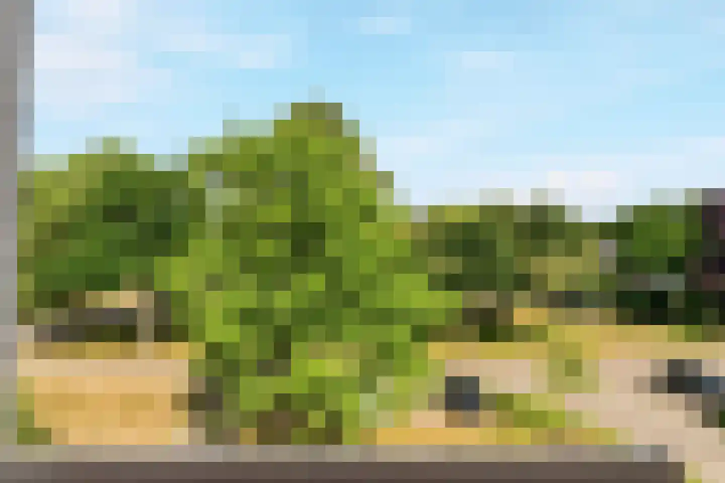 Vogelplantsoen 68 Dieren thumbnail 23