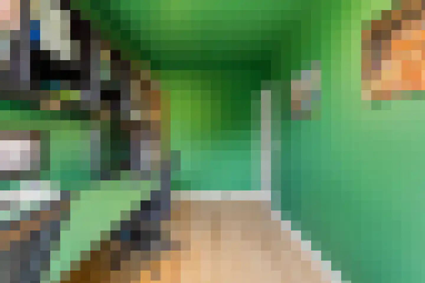 Vogelplantsoen 68 Dieren thumbnail 27