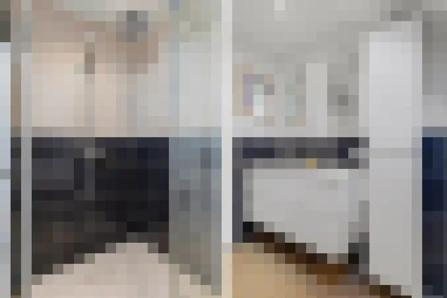 Vogelplantsoen 68 Dieren thumbnail 32