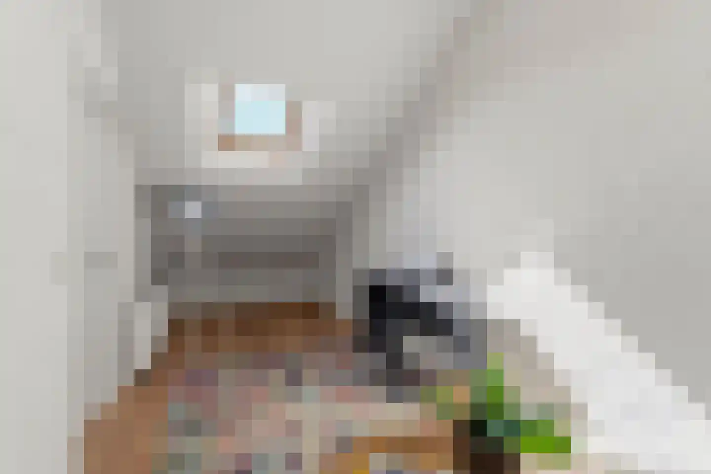 Vogelplantsoen 68 Dieren thumbnail 42