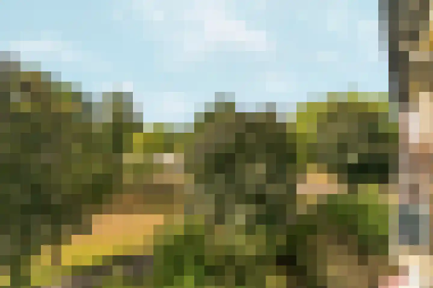 Vogelplantsoen 68 Dieren thumbnail 44