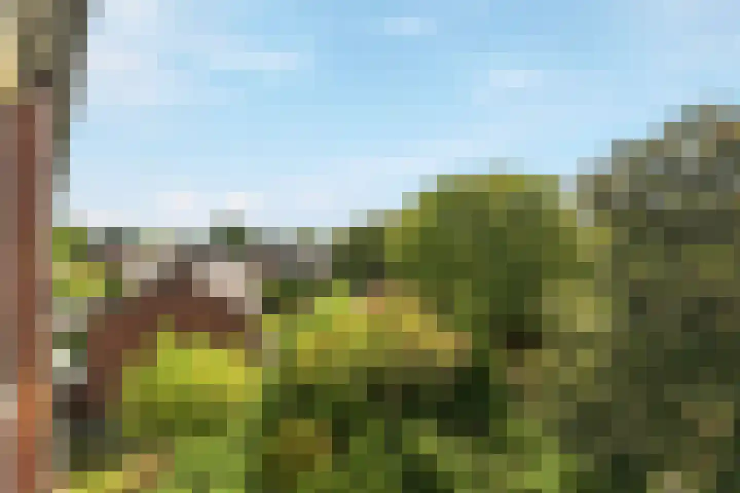 Vogelplantsoen 68 Dieren thumbnail 45