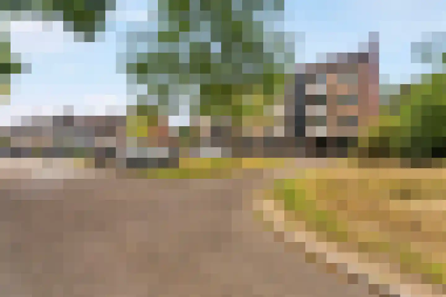 Vogelplantsoen 68 Dieren thumbnail 47