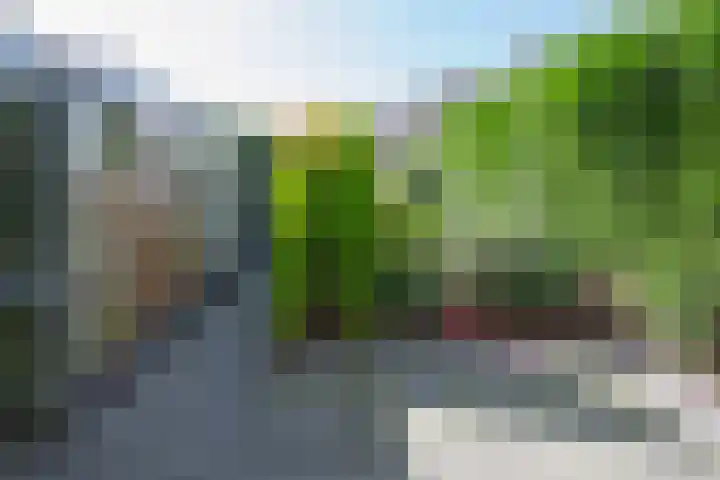 Vogelplantsoen 69 Dieren thumbnail 11