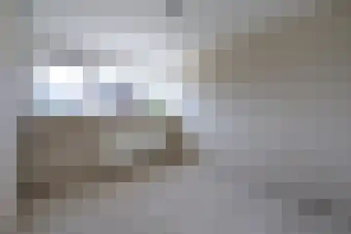 Vogelplantsoen 69 Dieren thumbnail 13