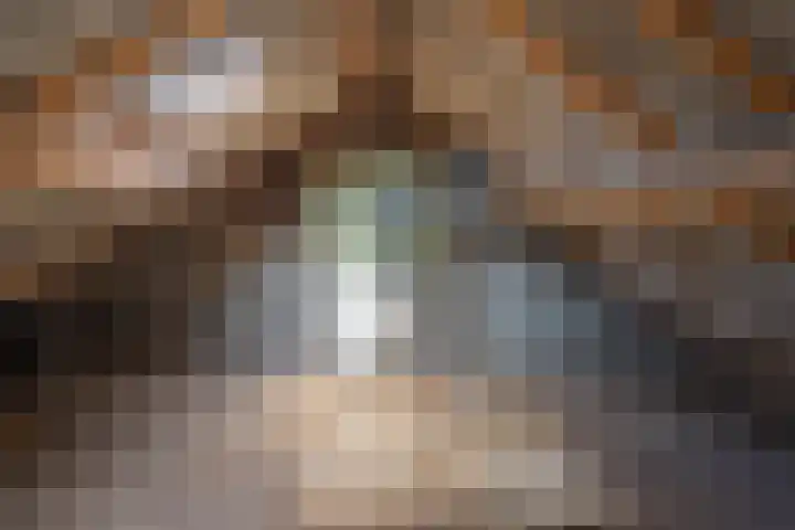 Vogelplantsoen 69 Dieren thumbnail 18