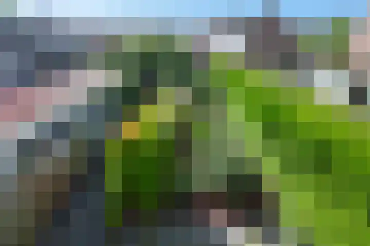 Vogelplantsoen 69 Dieren thumbnail 19