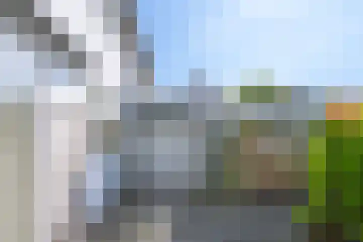 Vogelplantsoen 69 Dieren thumbnail 20