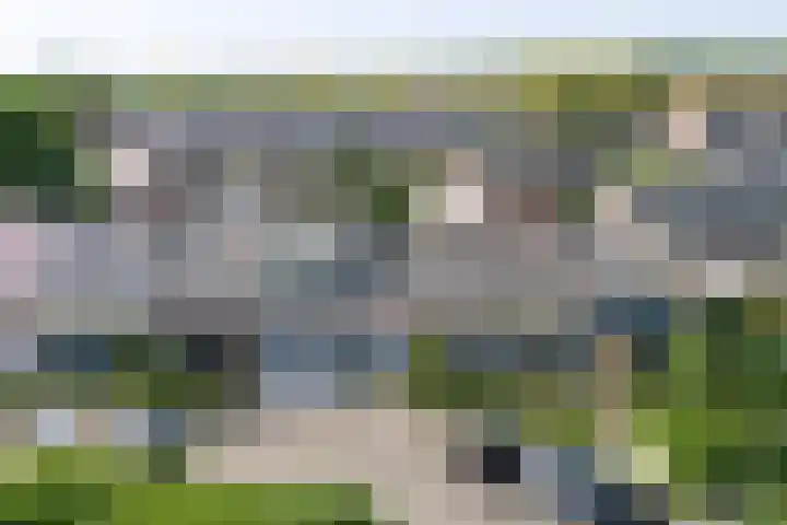 Vogelplantsoen 69 Dieren thumbnail 21