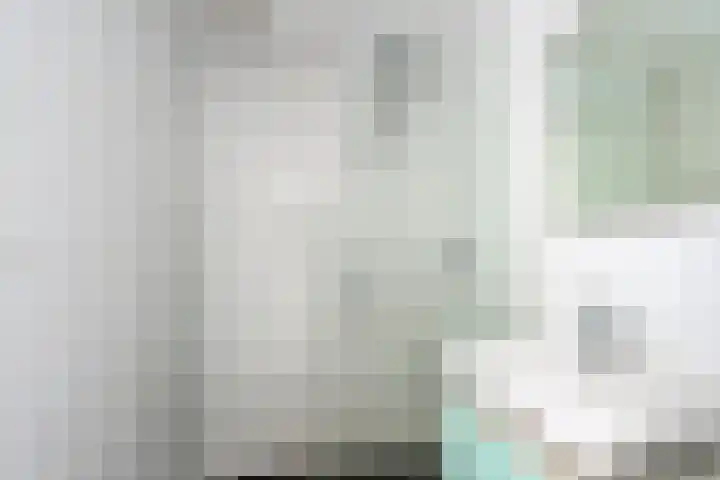 Vogelplantsoen 69 Dieren thumbnail 4