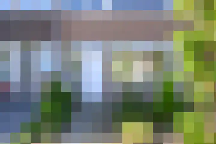 Vogelplantsoen 69 Dieren thumbnail 6