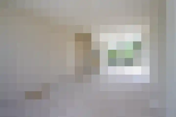 Vogelplantsoen 69 Dieren thumbnail 8