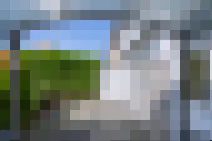 Vogelplantsoen 69 Dieren thumbnail 9