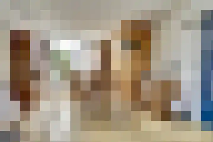 Vogelplantsoen 71 Dieren thumbnail 10