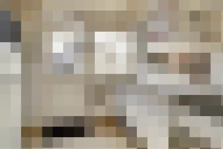 Vogelplantsoen 71 Dieren thumbnail 11